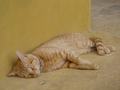 dsc05177.jpg