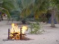dsc05180.jpg