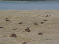 dsc05210.jpg