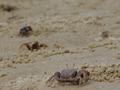 dsc05211.jpg
