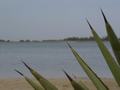 dsc05216.jpg