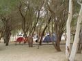 dsc05231.jpg