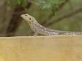 dsc05234.jpg