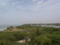 dsc05245.jpg
