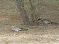 dsc05255.jpg