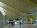 dsc05272.jpg